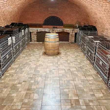 Apartmán Vinarstvi 1838 Jevisovka